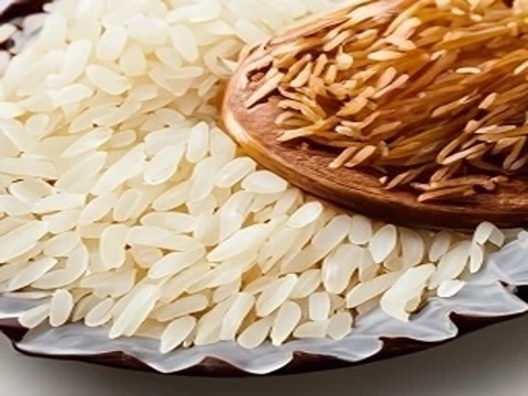 تصویر 1 از خرید و قیمت برنج چمپای میداوود + فروش عمده